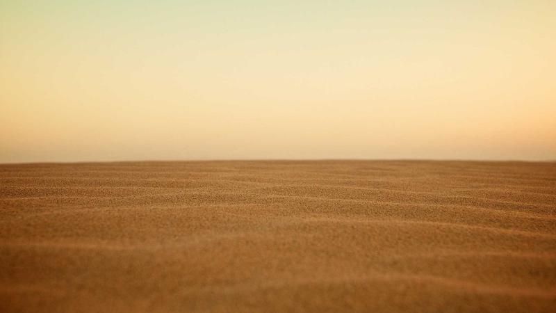 每日大赛吃瓜极速瓜料引擎特性图解